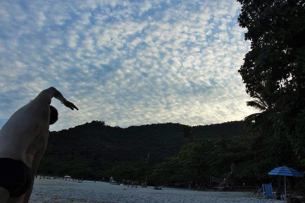 Um lugar para curtir o dia sob as várias árvores Chapéu de Sol