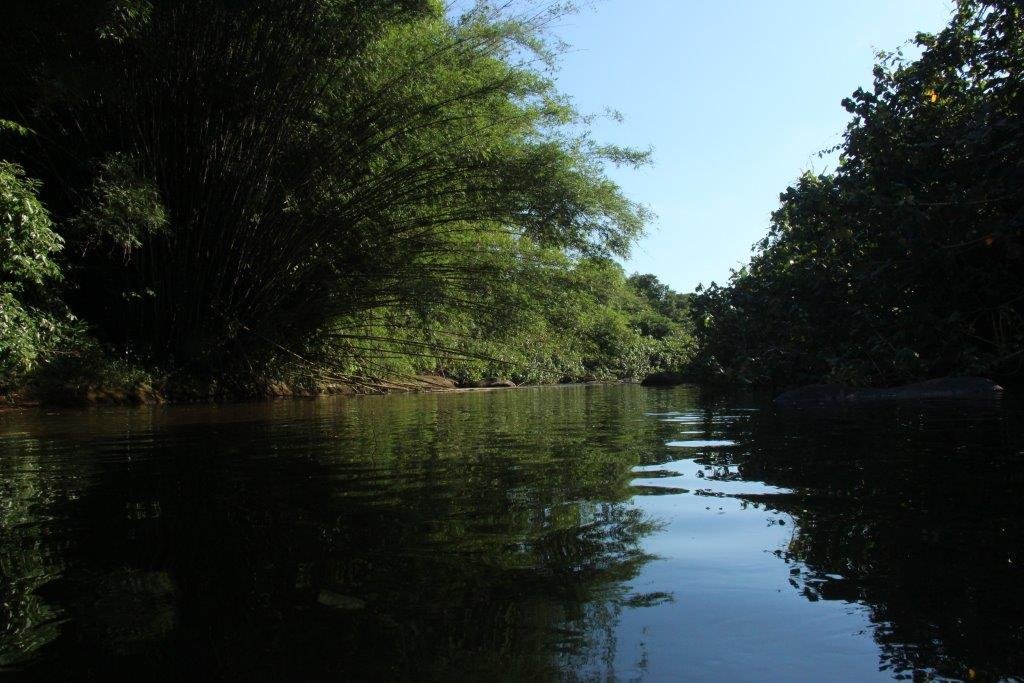 ilha grande - praia de parnaioca (13)