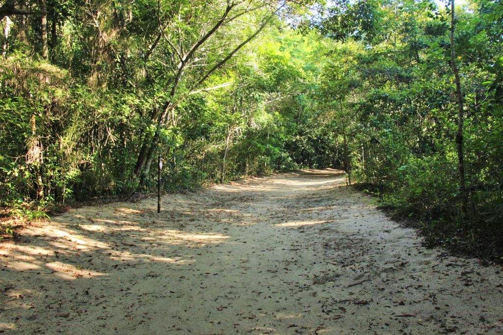 ilha grande - praia de parnaioca (14)