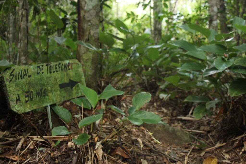...se é isso que você quer, no topo da travessia Aventureiro-Provetá, você terá