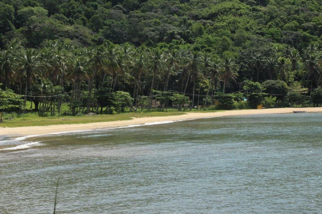 Tapera é caracterizada pelos grandes coqueirais