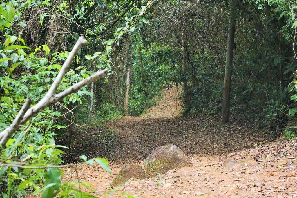 Esse é o caminho entre Araçatiba e a Gruta do Acaia